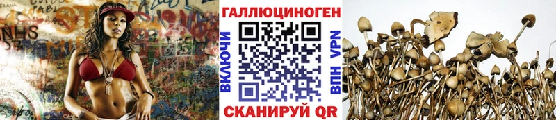 Галлюциногенные грибы мухоморы  blacksprut ссылка  Таштагол 